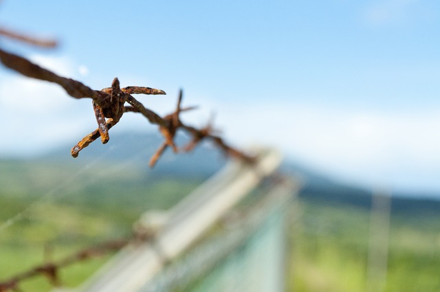 Business growth hack barriers to success The Business Therapist